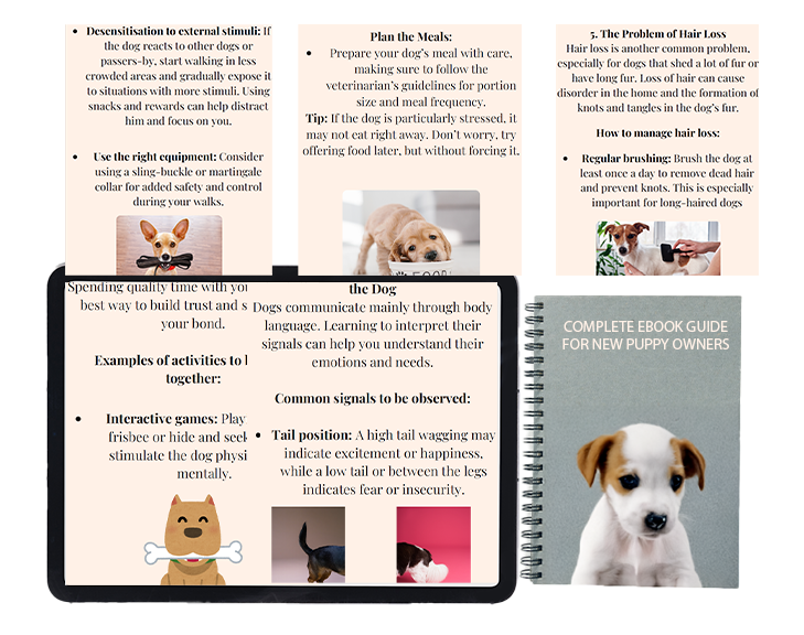 dog education: complete ebook guide for new dog owner